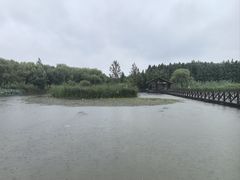 -溱湖国家湿地公园