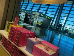 -潘祥记鲜花饼(昆明长水国际机场店)