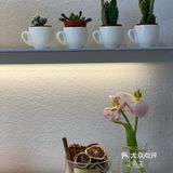 大学路的咖啡馆都很小清新