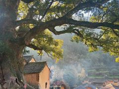 -杨家堂村