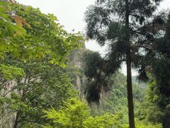 -刘伯温故里景区百丈漈