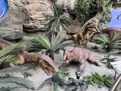 -国家自然博物馆