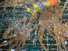 -好兄弟郭巨海鲜(天一阁店)