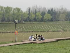 -洨河生态公园