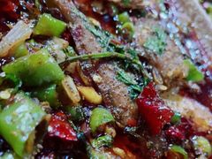 -黄果兰(绵竹新天地商业广场店)