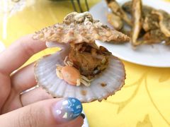 -叶存利海鲜大馅饺子(东戴河止锚湾店)
