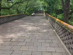 -沈阳市东陵公园