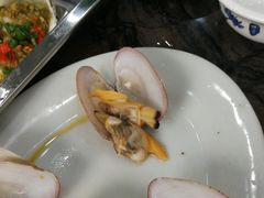 -蚝专家