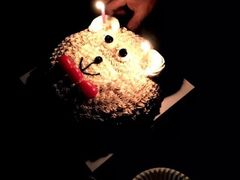 -林记开心动物奶油生日蛋糕(江南春晓店)