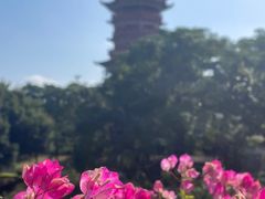 -厦门园林博览苑