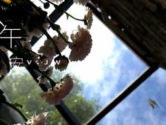 景观位-VOYAGE COFFEE(北锣鼓巷店)