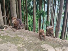-太阳湾风景区