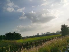 -光明小镇欢乐田园