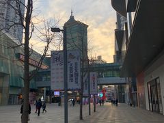 -Apple零售店(中街大悦城店)