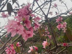 -小南山公园