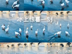 -迎泽公园