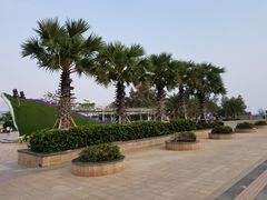-亚龙湾中心广场