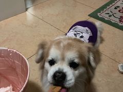 -宫廷糕点铺