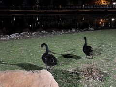 -长春市南湖公园