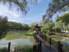 -瀛洲公园