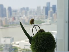 -翡翠36餐厅(浦东香格里拉店)