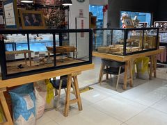 -熊叔熊婶面包房(团结湖店)