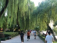 -柳浪闻莺公园