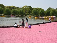 -上海鲜花港