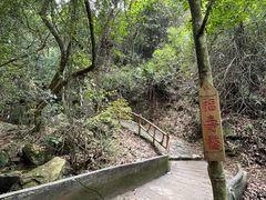-南丹山森林王国