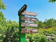 -江苏三台山国家森林公园