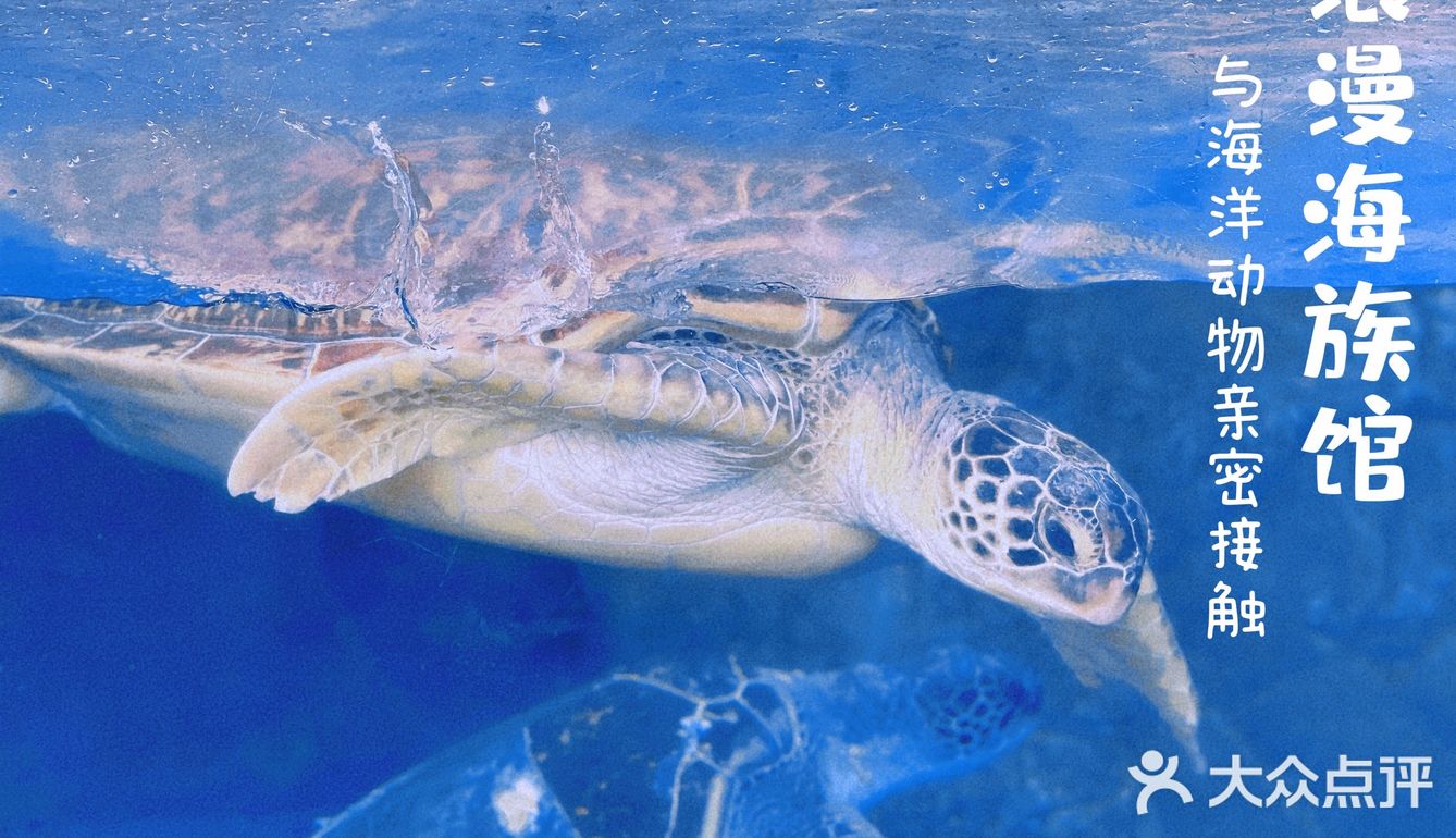 珠海长隆海洋王国超实用攻略❗️下篇