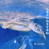 珠海长隆海洋王国超实用攻略❗️下篇