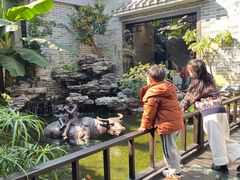 -顺德渔村·岭南一号