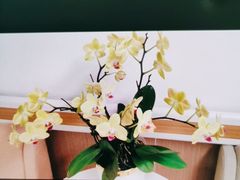 -上海市第四人民医院