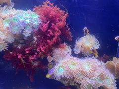 -郑州海洋馆