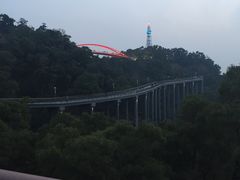 -金鸡山公园