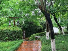 -天目湖涵田度假村