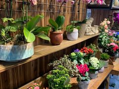 -桂林市花鸟市场