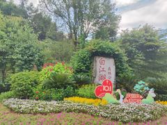 -广州白江湖森林公园