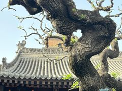 -大慈恩寺(大雁塔)
