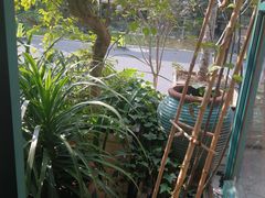 -SEN CASTLE城堡西餐(创意设计中心店)