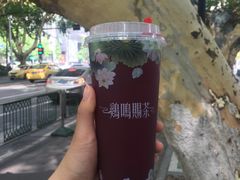 -鸡鸣赐茶(鸡鸣寺路店)