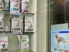 -瑞派动物医院·猫专科·至诚(江南中分院)