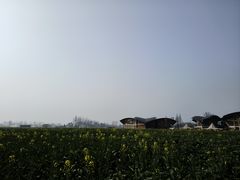 -中国天府农业博览园