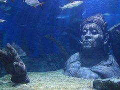 -暹罗海洋世界
