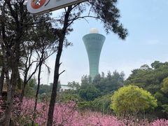 -狐尾山公园