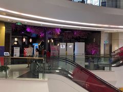 -韵秋荷(宝山龙湖天街店)