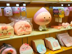 -KAKAO FRIENDS(弘大店)