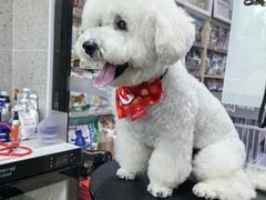 -宠物家(大兴旧宫店)