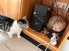 -瑞鹏宠物医院(大运分院)